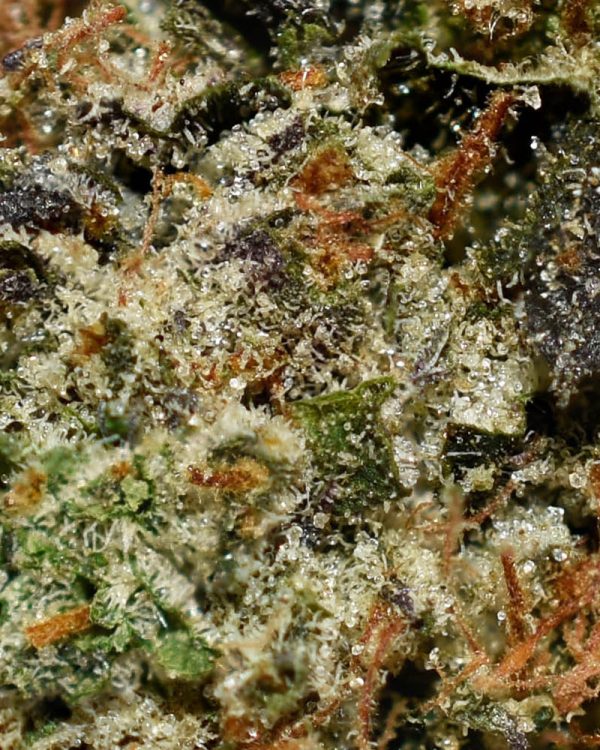 Death Bubba AAAA+ Trichomes