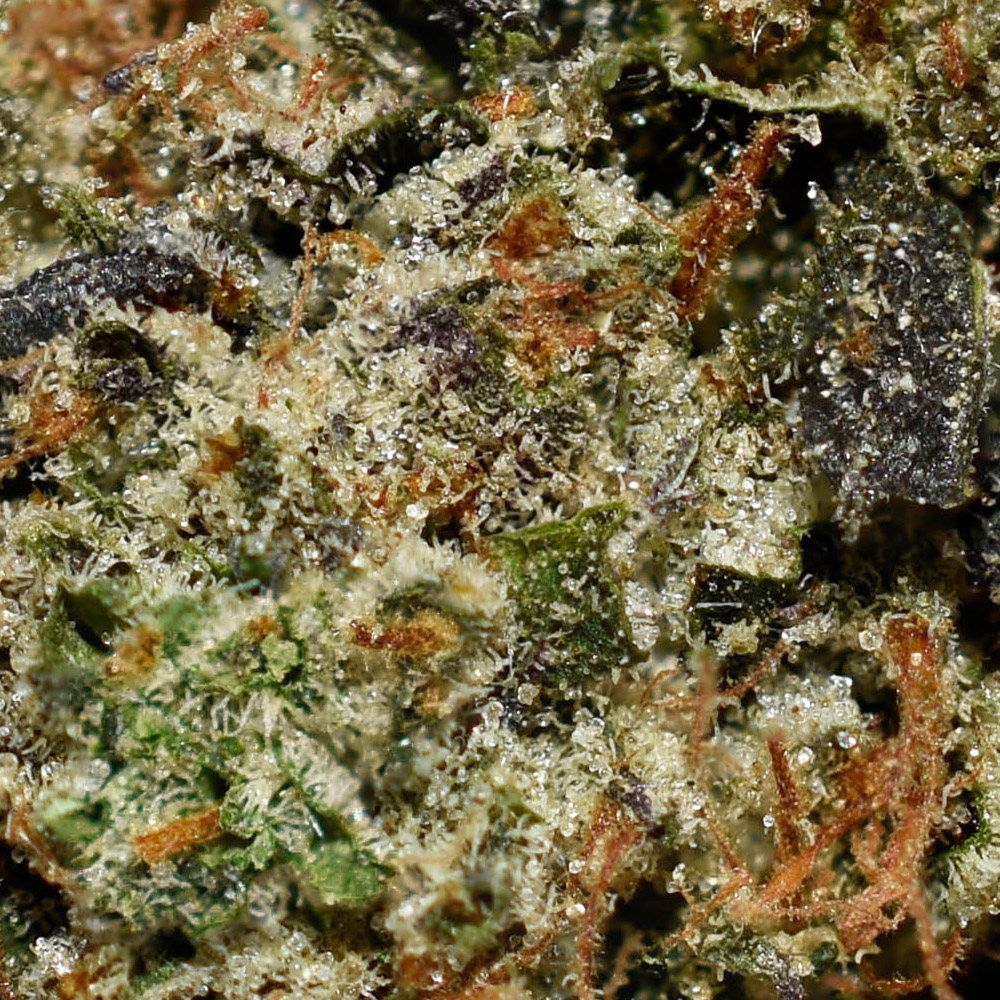 Death Bubba AAAA+ Trichomes