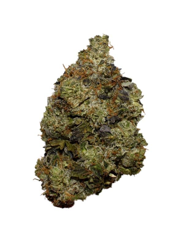 Platinum Rockstar AAAA+