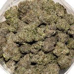 Platinum Rockstar AAAA+ Bag