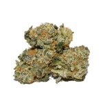 Tropic Thunder Popcorn AAAA