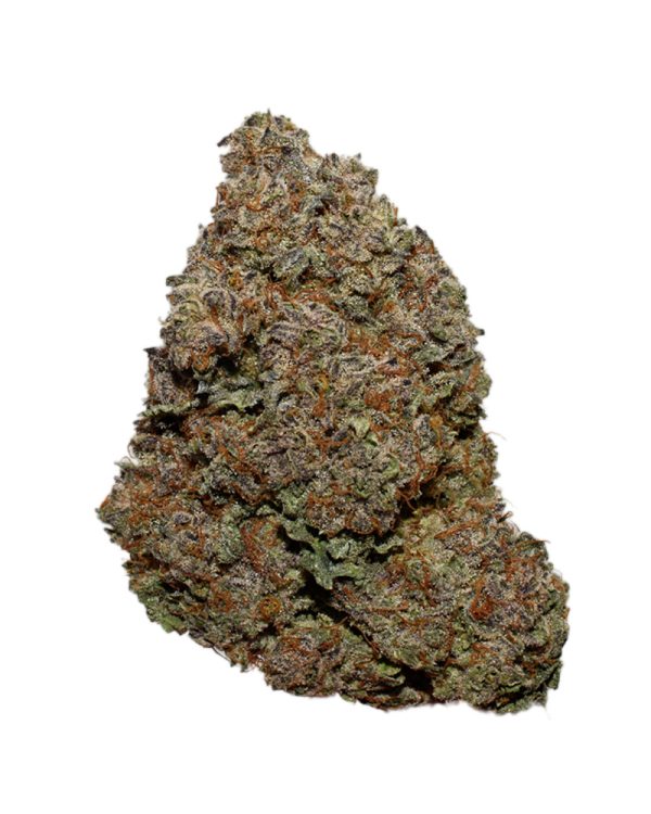 PURPLE ICEWRECK AA