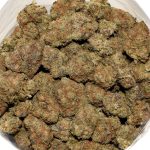 Amnesia Haze AA Bag