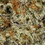 Donkey Butter AAAA Trichomes