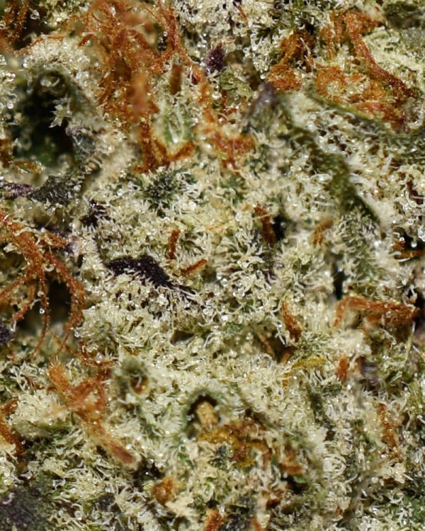 Donkey Butter AAAA Trichomes