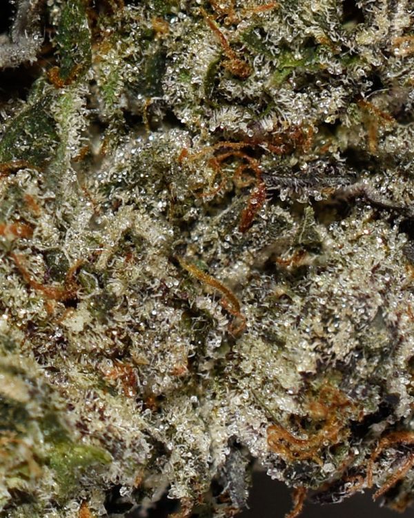 G Wagon AAAA+ Trichomes