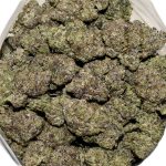 Granddaddy Purple OG AAAA+ Bag