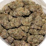 Money Bread #1 AAAA Bag