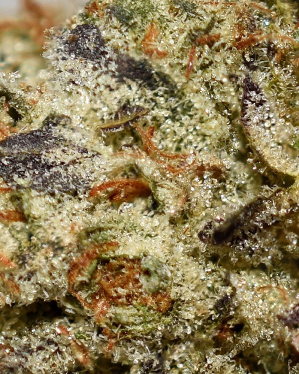 Pineapple Express AAAA+ Trichomes