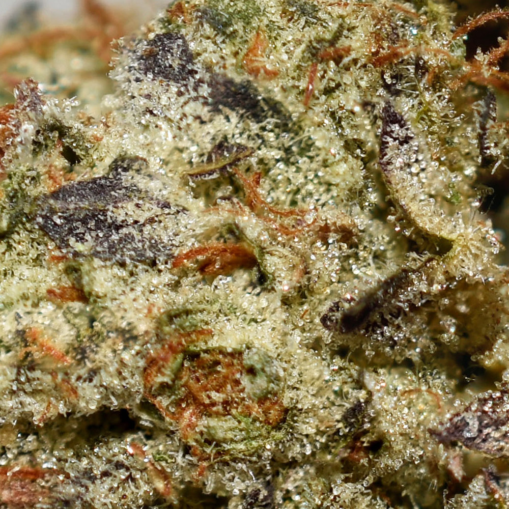 Pineapple Express AAAA+ Trichomes