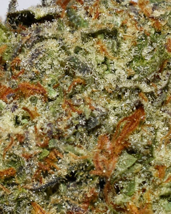 Pineapple God Bud AAAA Trichomes