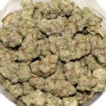 Pineapple Godbud AAAA+ Bag