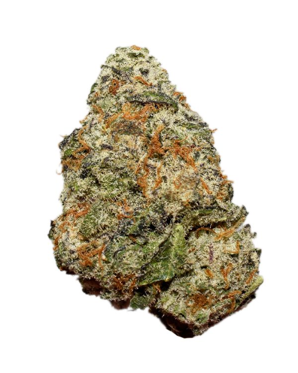 Slurricane AAAA