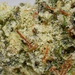 Candy Kush AAA Trichomes