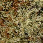 Chemdawg AAA Trichomes