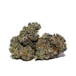 Dead Elvis Popcorn AAAA