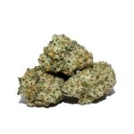 Donkey Butter Popcorn AAAA