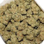 Golden Pineapple AAA Bag