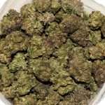 Grape Gas AA Bag