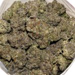 High Octane AAAA+ Bag