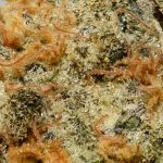 Lemon Skunk AA Trichomes