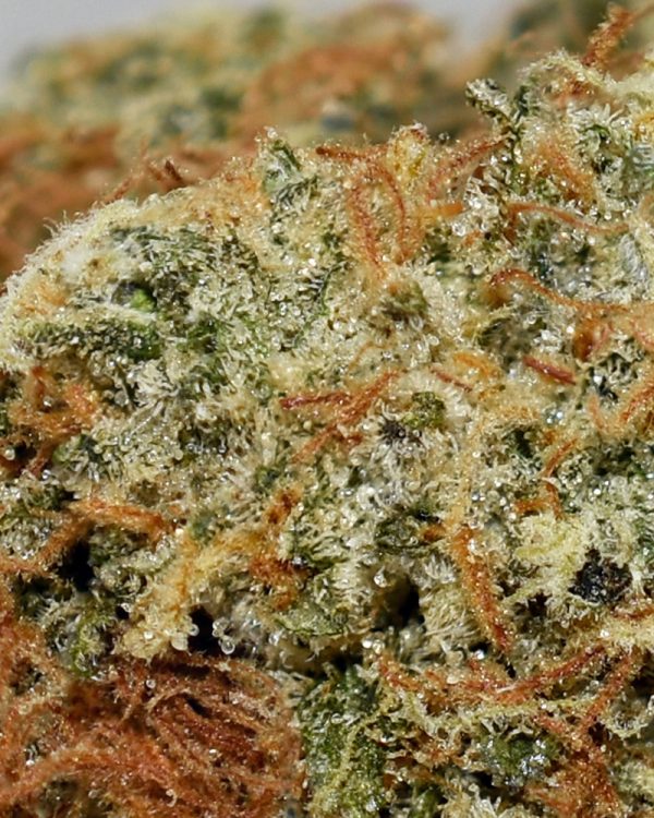 NYC Sour Diesel AA Trichomes