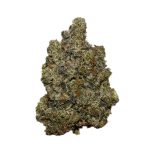 Northern Lights AAAA+