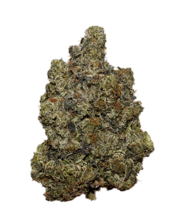 Northern Lights AAAA+