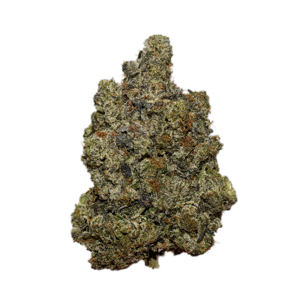 Northern Lights AAAA+