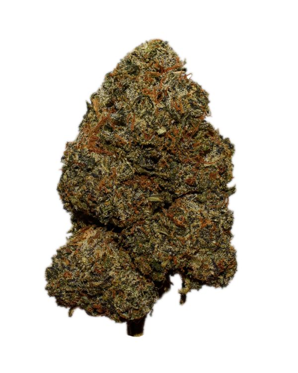 Christmas Cookies AA