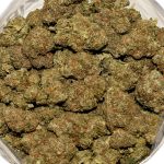 Christmas Cookies AA Bag