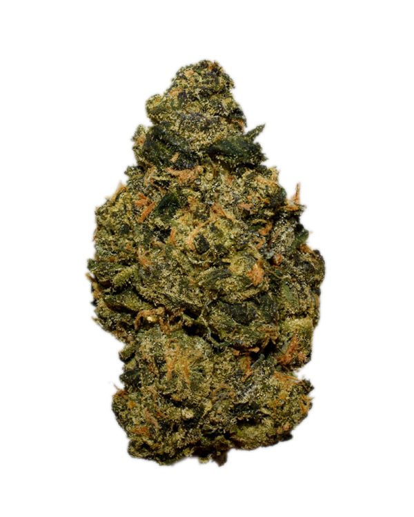 Girl Scout Cookies AA