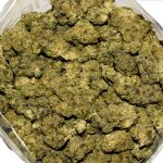 Girl Scout Cookies AA Bag