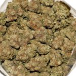 Hawaiian Dutch AA Bag