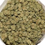 Jack Herer Popcorn AAAA Bag