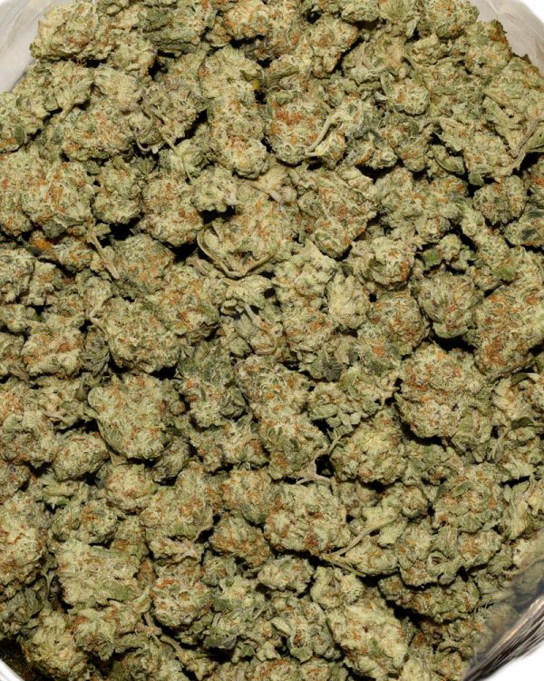 Jack Herer Popcorn AAAA Bag