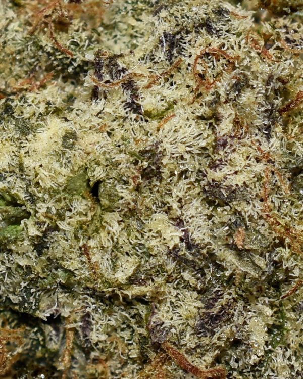 Pineapple Chunk AA Trichomes