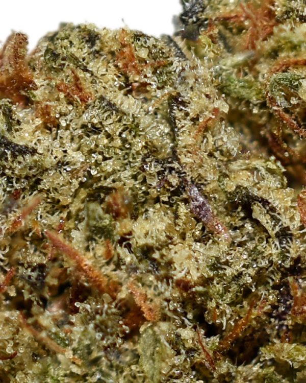 Rockstar A Trichomes
