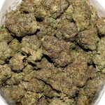 Rockstar Platinum AAA Bag