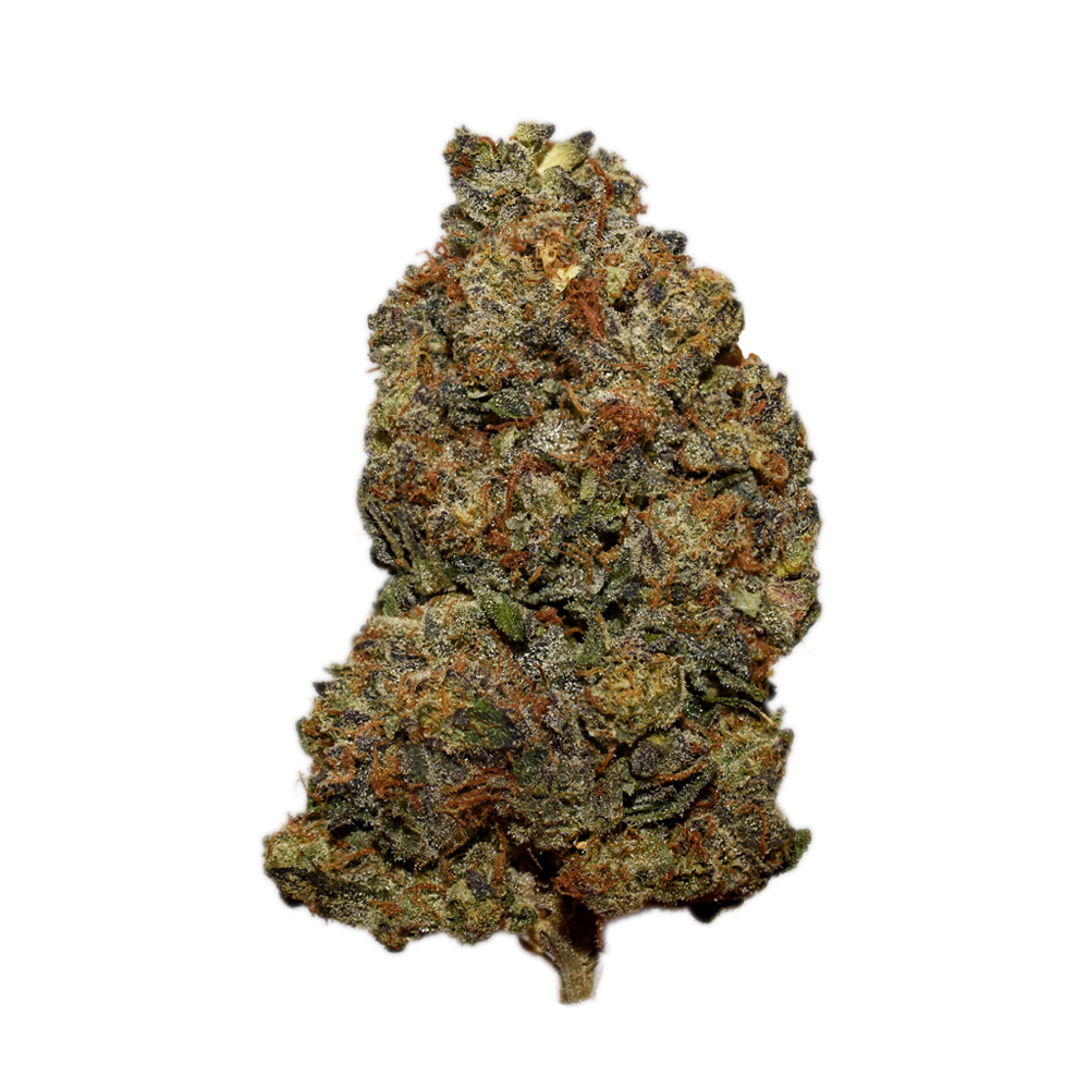 Rockstar Platinum AAA Rockstar Platinum AAA