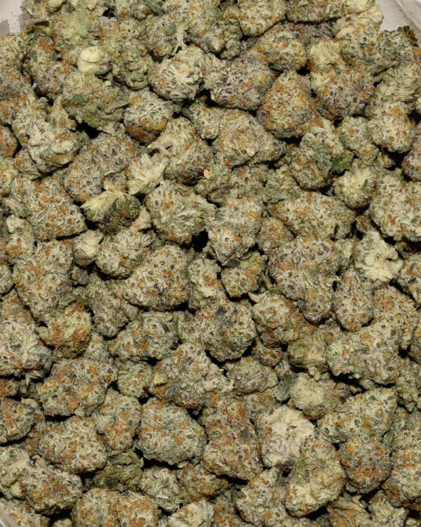 Tropic Thunder Popcorn AAAA Bag