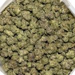 Tuna Gas Popcorn AAAA Bag