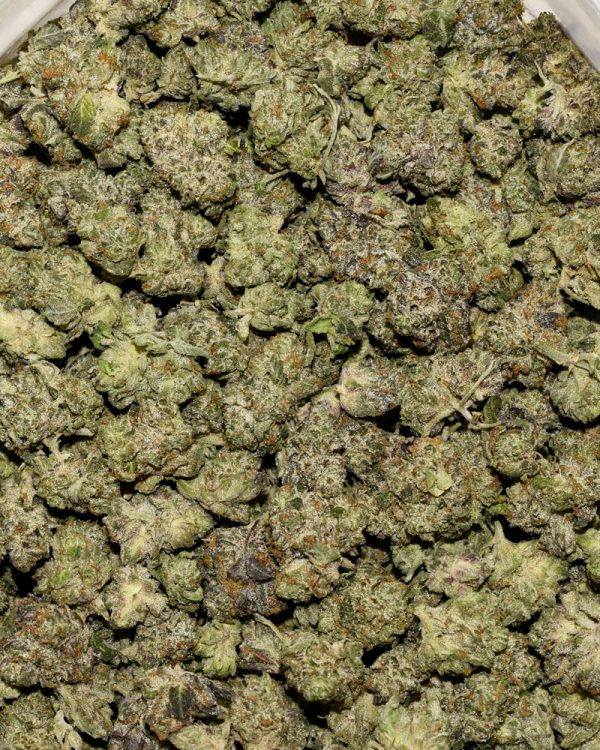 Tuna Gas Popcorn AAAA Bag