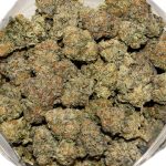 Blueberry Faygo AAA Bag