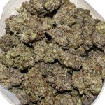 Cookie Glue AAAA+ Bag