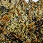 Death Star AAAA Trichomes