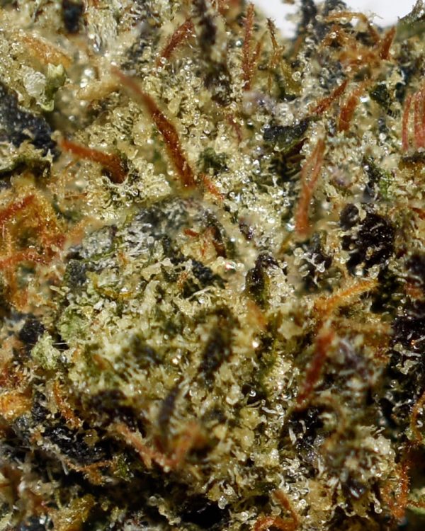 Death Star AAAA Trichomes