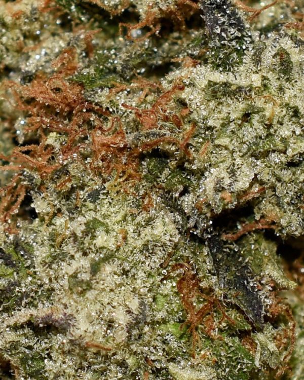 Death Star OG AAAA Trichomes