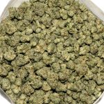 Key Lime Pie Popcorn AAAA Bag