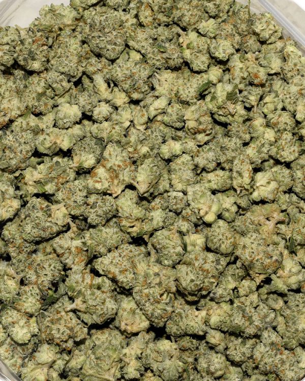 Key Lime Pie Popcorn AAAA Bag